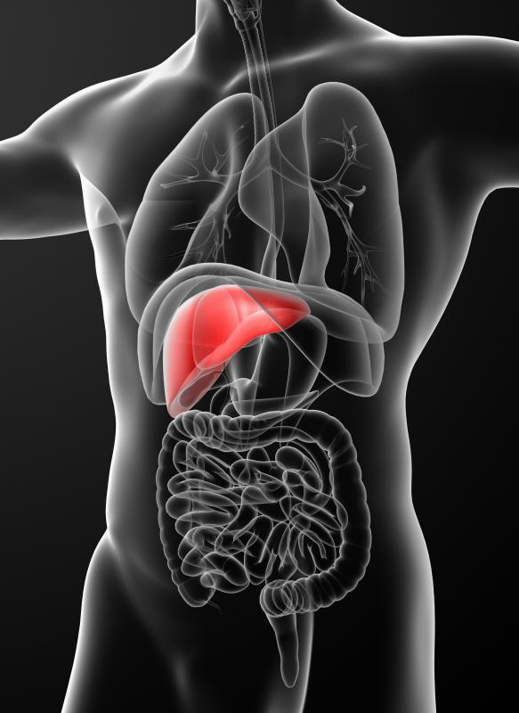 Lymph nodes closest to the liver may be affected by sternum cancer.