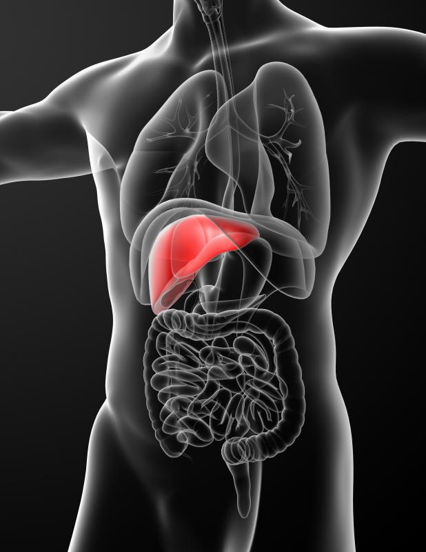There are several different types of normal or natural fissure, including the liver.