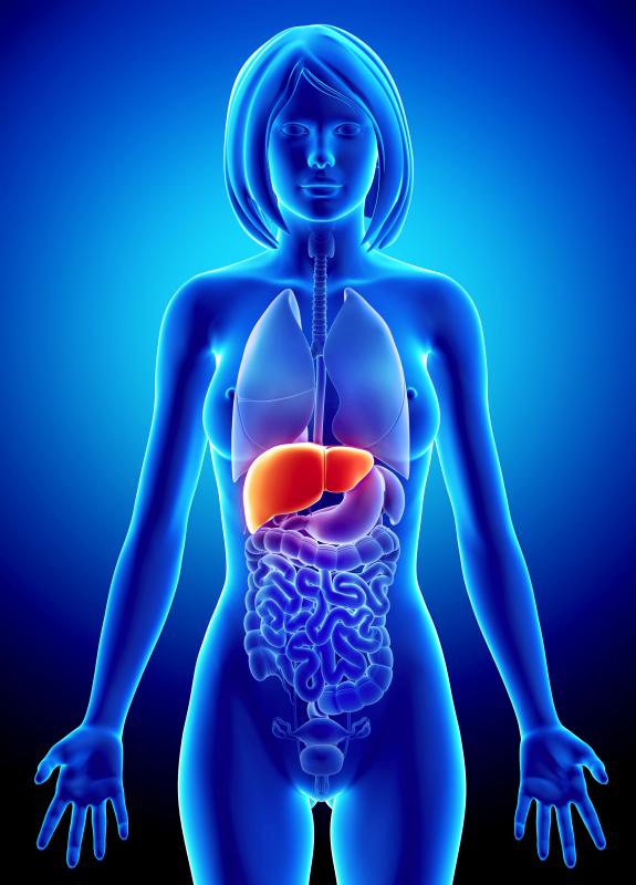 The diuretic properties of saw palmetto may be helpful for people with liver disease.