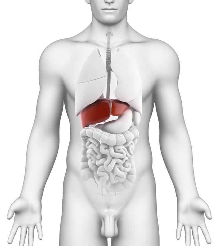 A HIDA scan can help check the function of the liver.