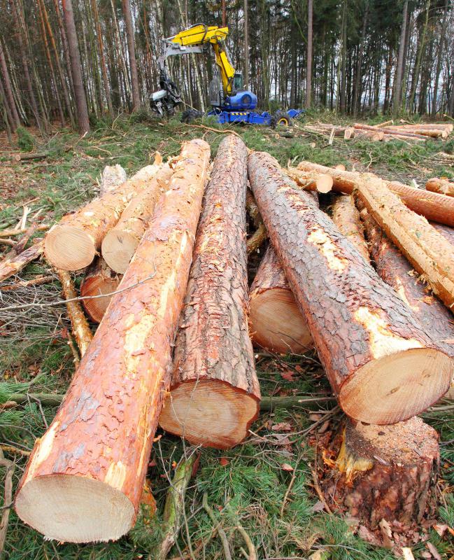 The removal of trees, shrubs, and structures is the first step in strip mining.