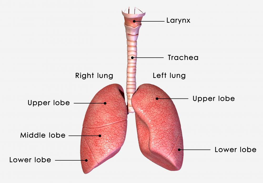 Pulmonary aspiration may occur when a foreign substance is inhaled into a person's lungs.