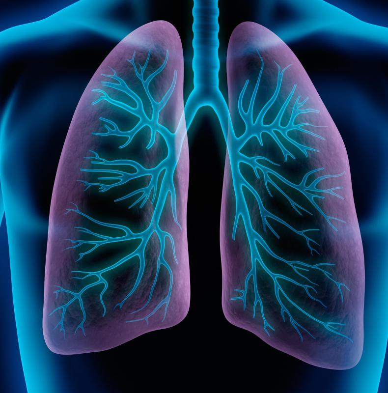 Lung parenchyma can refer to the functioning parts of the human lung.
