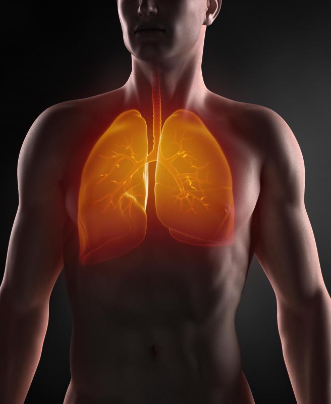 Ultrasounds are unable to provide adequate imaging for the lungs.