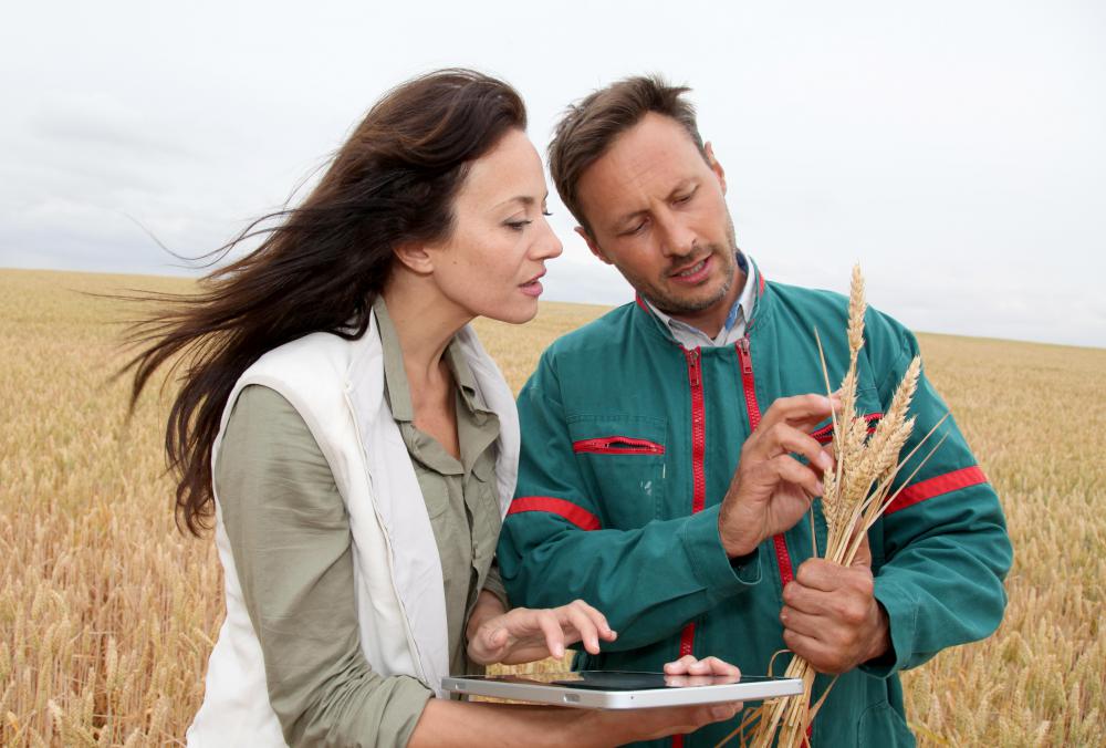 The USDA improves the food supply by developing new crops and livestock.