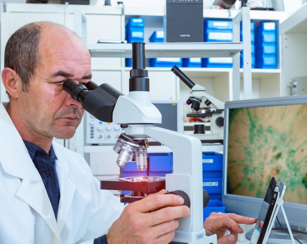 Methicillin-resistant Staphylococcus aureus infection may be diagnosed with the administration of a skin biopsy.