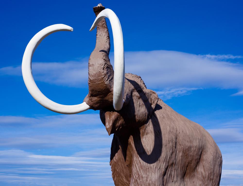 Artifacts, like mammoth tusks with carved notches, are believed to depict the days between moon phases.