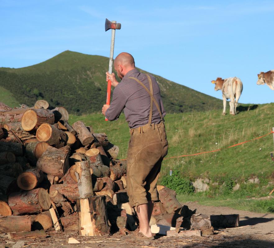 Currently, the United Nations estimates that wood energy supplies 14 percent of the world's energy needs.