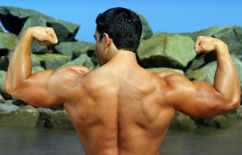 Energy expenditure will be impacted by muscle mass, as larger muscles have higher energy requirements.