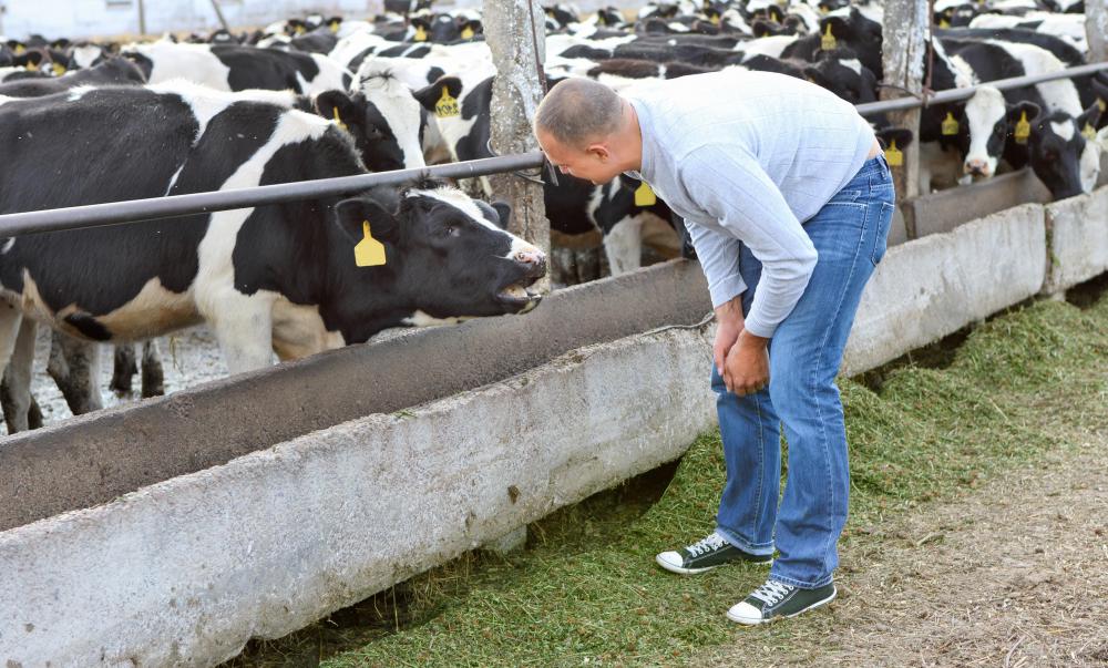 Some debates have suggested cloning can create more desirable livestock.