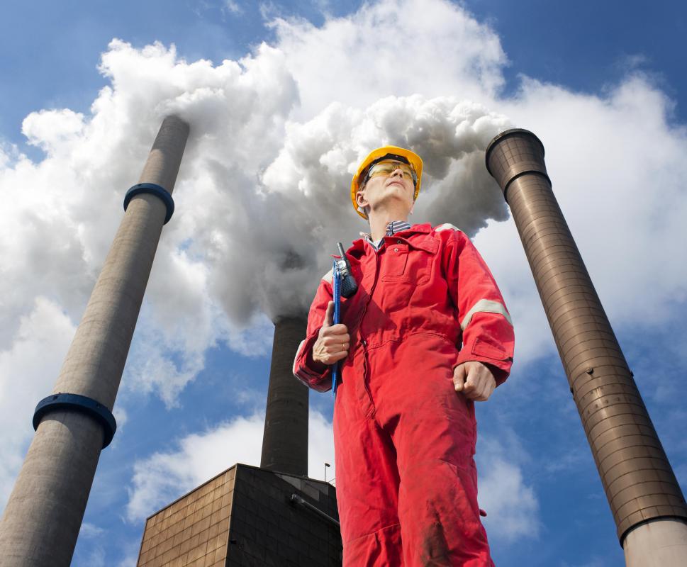 Environmental engineers may study how pollution affects an environment.