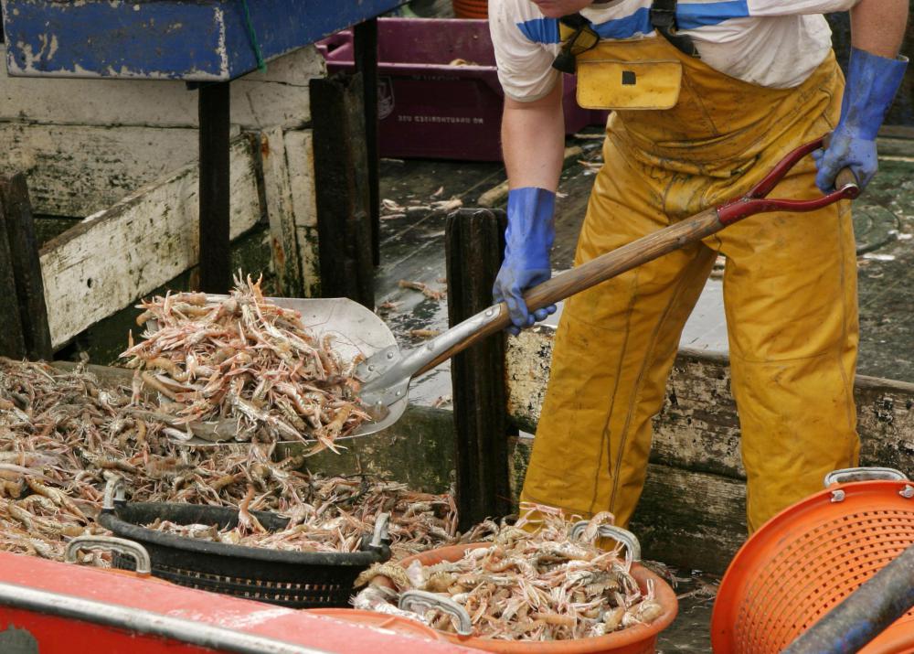 An ordinary seaman may perform manual labor on board a vessel.