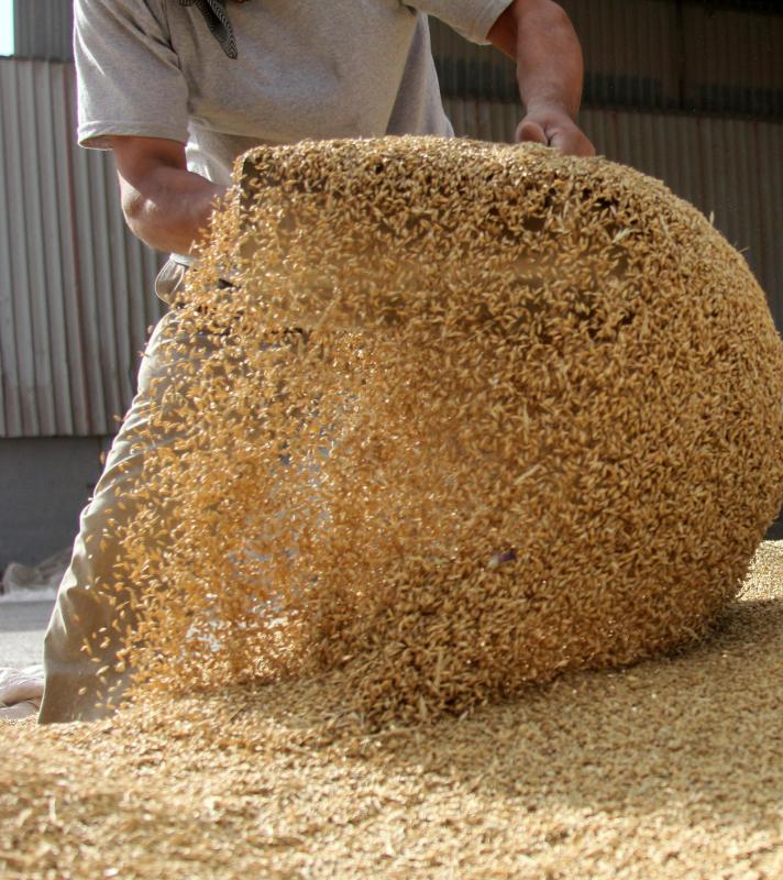 Antiobiotic use in cattle feed has brought controversy.