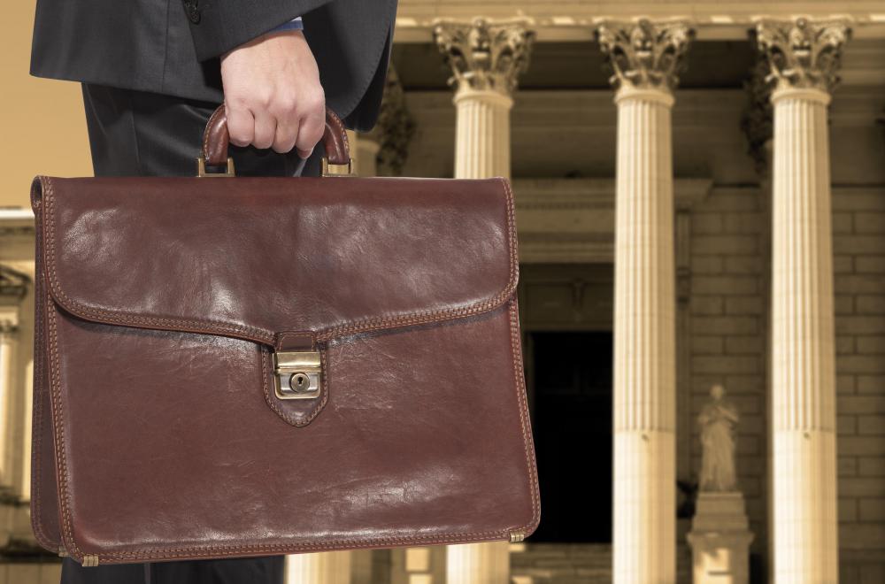 Lobbyists play a role in the public policy process.