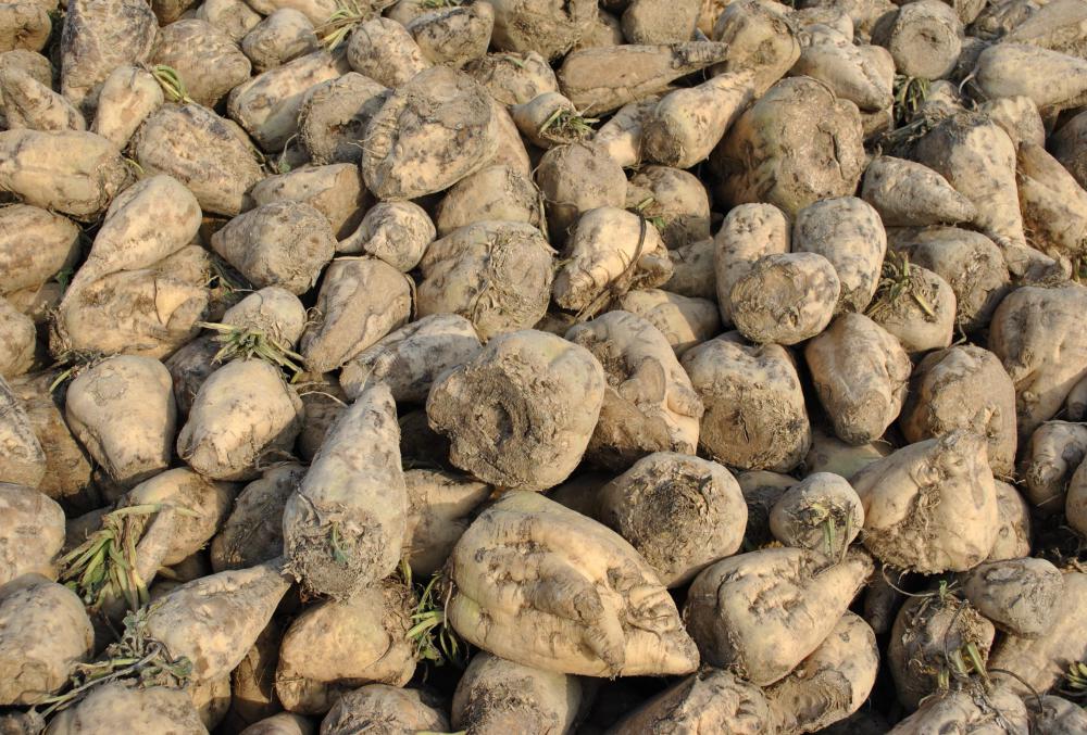 Strontium hydroxide is used to process sugar from sugar beets.
