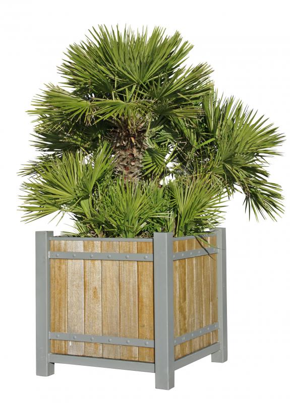 Landscaping includes using non-native plants as decoration.
