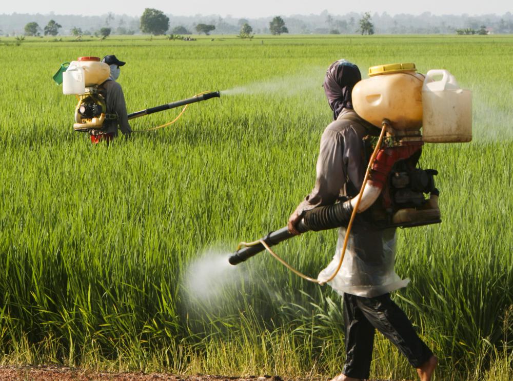 Acetylcholinesterase inhibitors are often used in pesticides.
