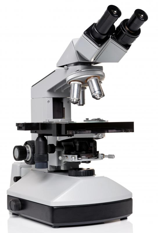 Since the debut of the scientific method, technological progress has been advancing rapidly and has included the development of powerful scientific instruments, such as the microscope.