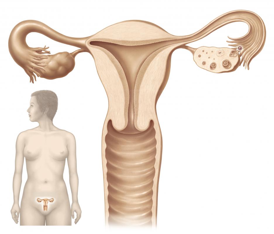 Symptoms of vaginal disease may include itching and unusual discharge.