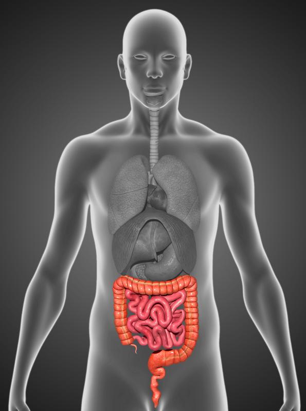 Doctors perform a colonoscopy to look at the inner lining of the large intestine, and sometimes find ulcers, colon polyps, tumors, inflammation and other problems.