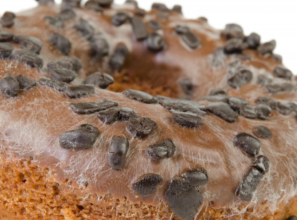 Mold that is found on old or unrefrigerated bread comes from fungi.