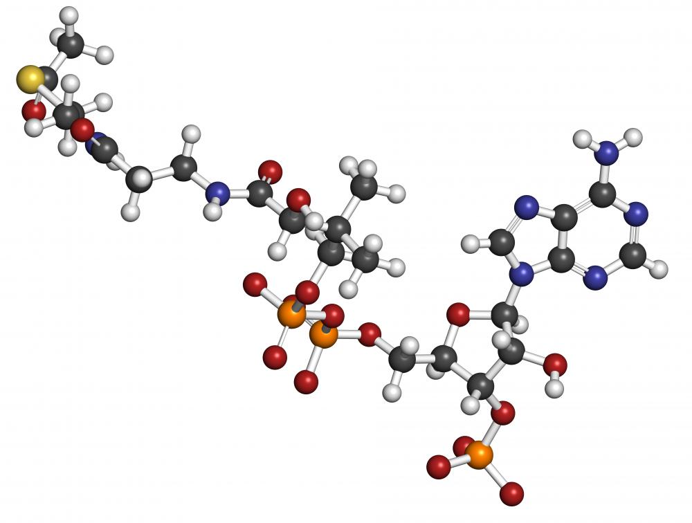 When fatty acids break down into acetyl-CoA, it is referred to as beta-oxidation.