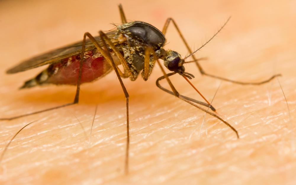 Malaria is a significant problem in Nigeria.