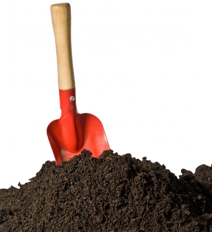 Dense soil holds more water than loose soil does.