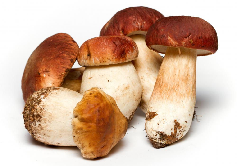 Mushrooms contain Vitamin H, which may be more beneficial when ingested with food.