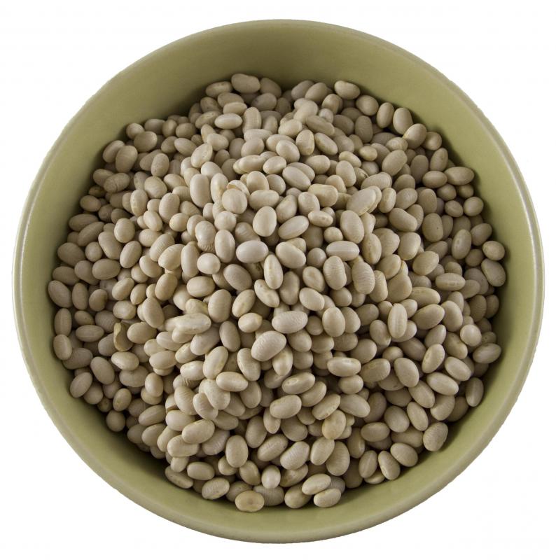 Navy beans, the state bean of Massachusetts.