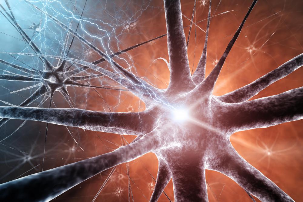 Glutamate is an excitatory neurotransmitter essential to learning and memory.