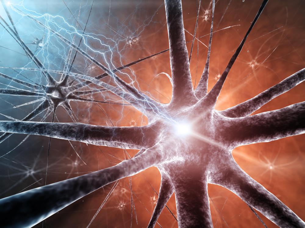 Neurons and glial cells make up the nervous tissue.