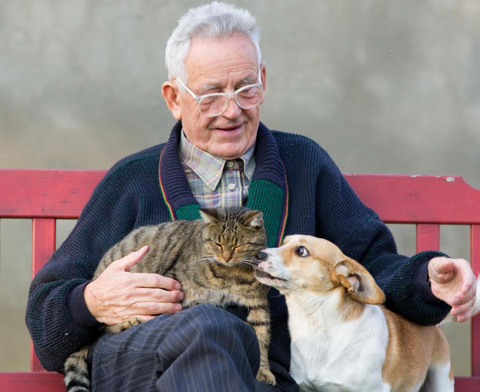 Pets have been shown to be beneficial for the elderly.