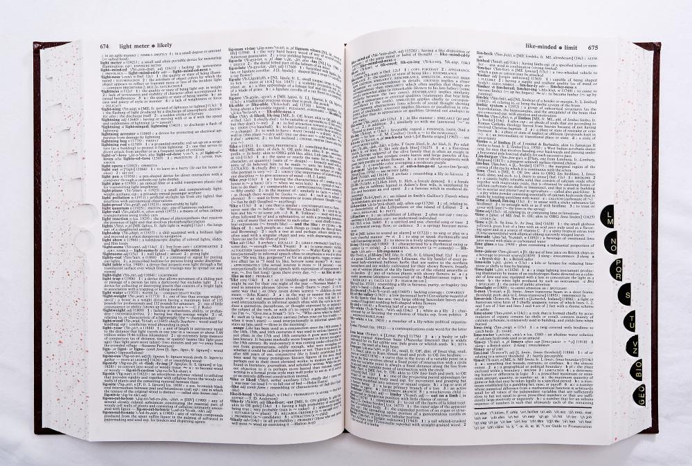 Lexophiles might help create or edit dictionaries.