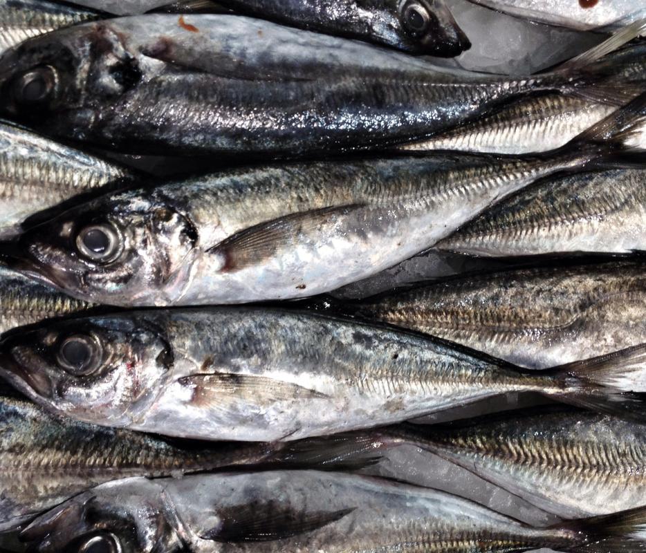 Sardines are a good source of cobalamin.
