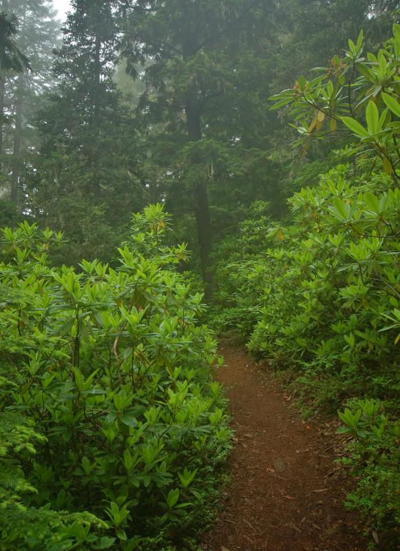 Some Americans work in the nation's many national parks.
