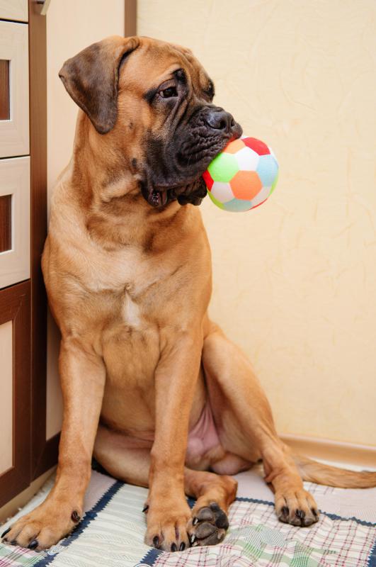 Associating a loud sound with a toy is a conditioned response.