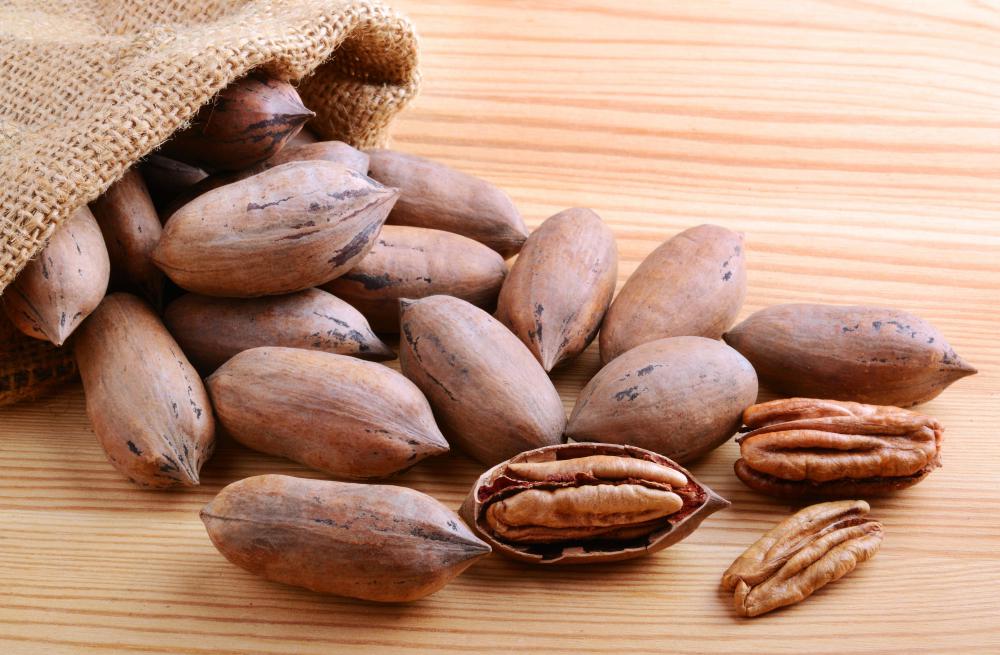 Pecan wood is collected from the pecan tree which also provides pecan nuts.