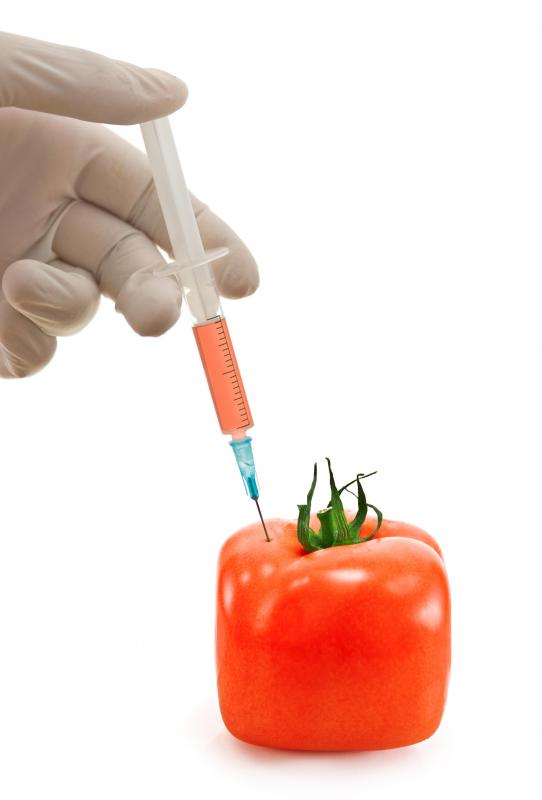 Fruits and vegetables are often genetically engineered.