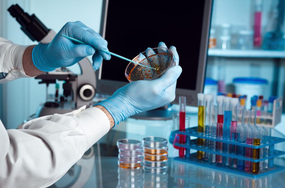 Medical professionals may conduct tests in the lab to determine antibiotic sensitivity.