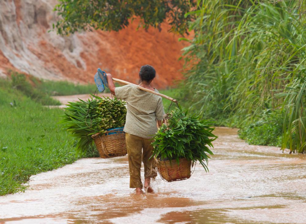 The "Down to the Countryside Movement" involved the forcible relocation of many urban residents to China's agricultural regions.