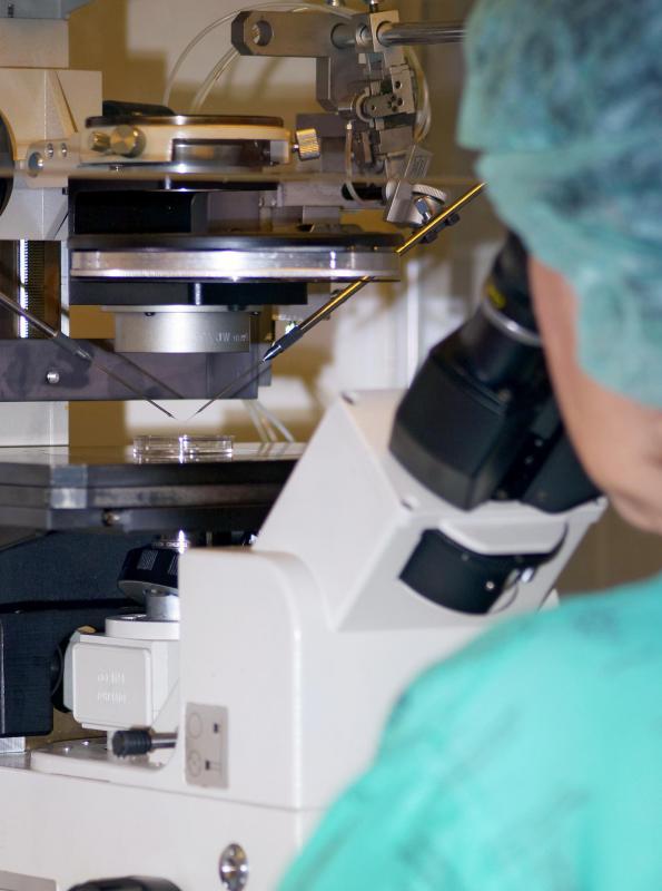 A doctor will conduct a biopsy to determine whether a neck tumor is malignant or benign.