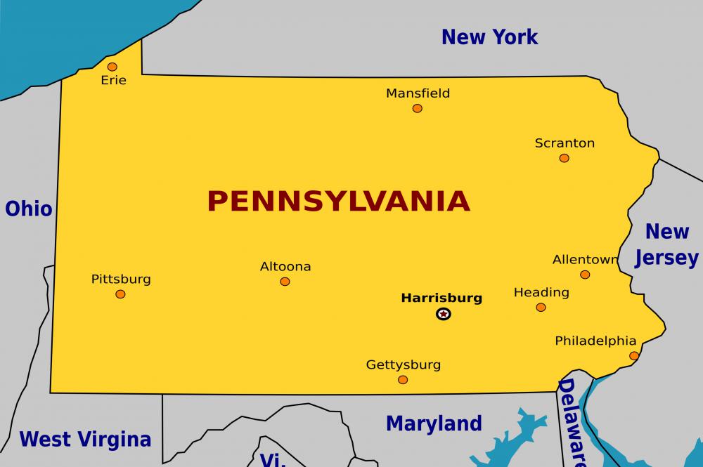 The Eastern Hemlock is not just the state tree of Pennsylvania, but it is also important to the state ecosystem.