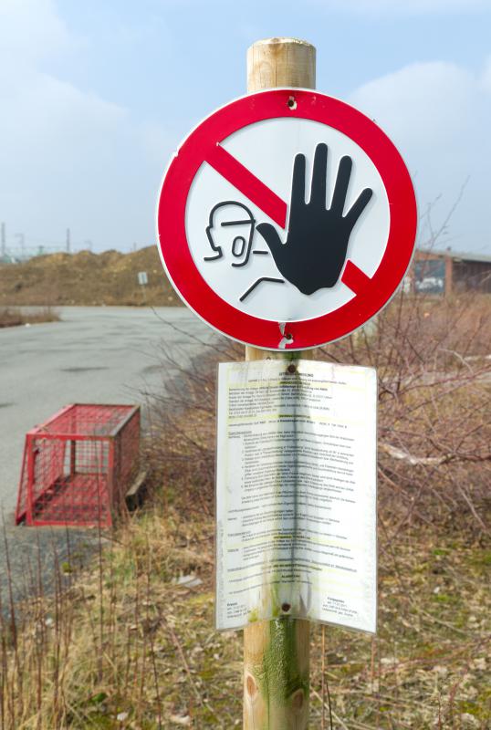 Pictograms are types of visual language.