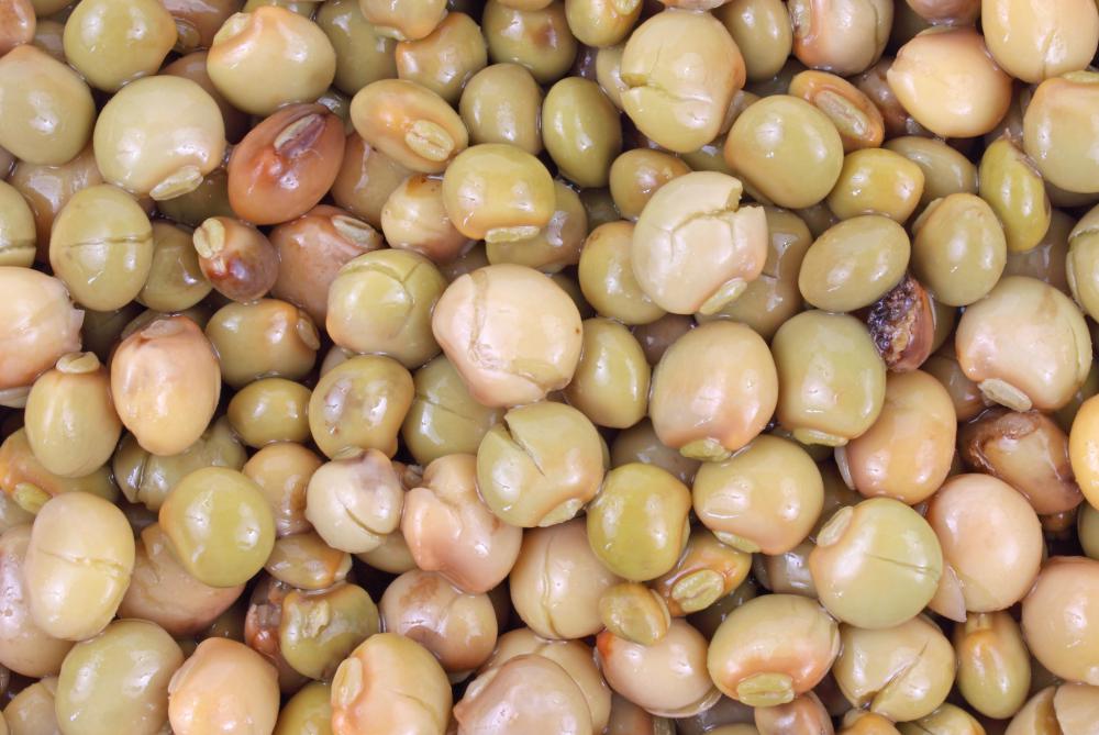 Pigeon peas come from tropical, wet regions.