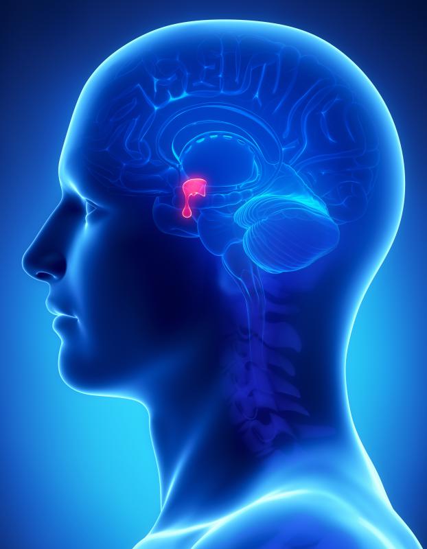 Pituitary gland dysfunction may cause lower levels of thyroxine.