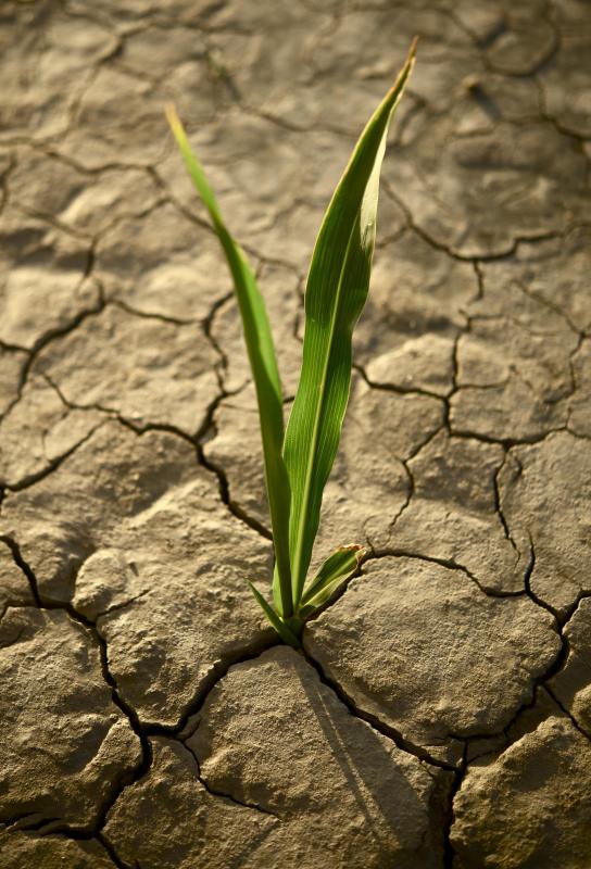 Water must be conserved in dry regions like deserts.