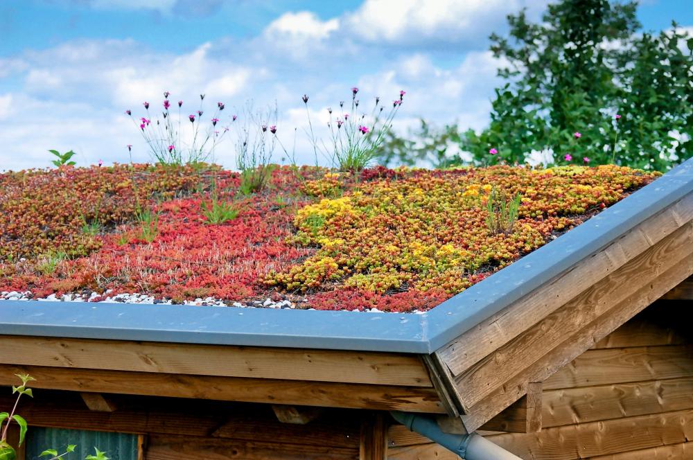 Encouraging green-building techniques, such as green roofs, is one way to strive toward a greener future.