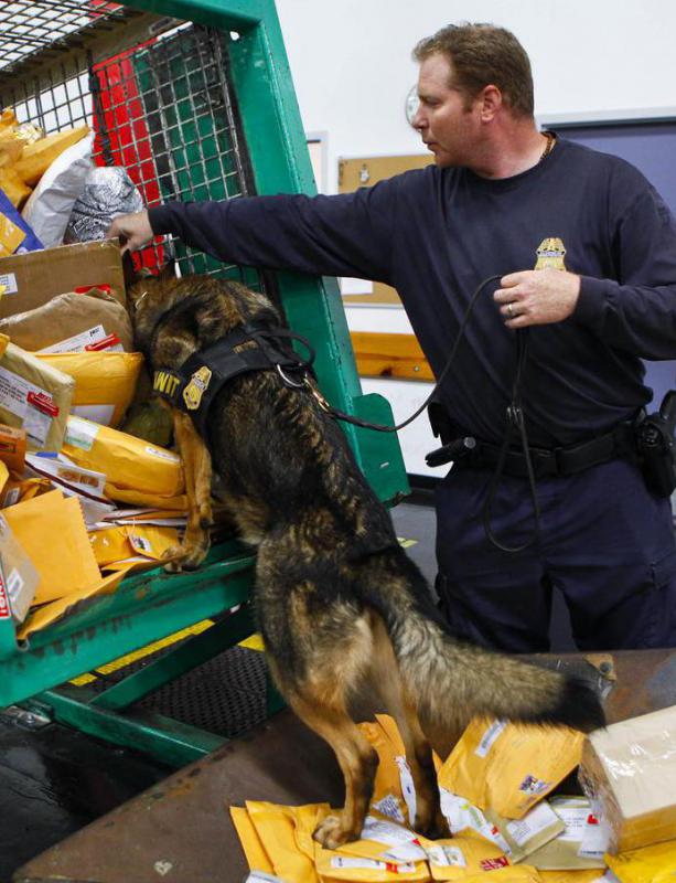 All prison mail must be inspected before delivery.