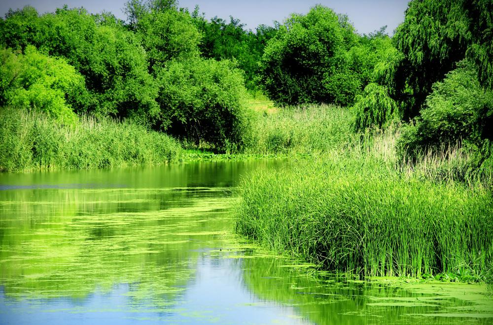Retention ponds and drainage culverts are essential components of any flood prevention system, and are required in many jurisdictions.
